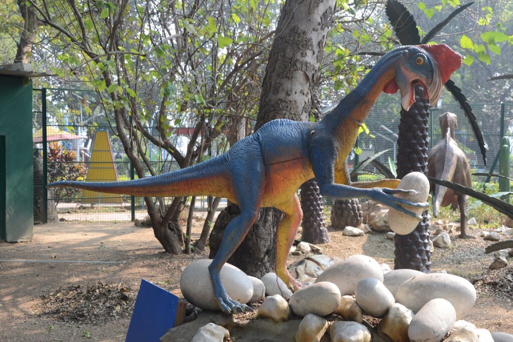Dinosaur Park Photo 5